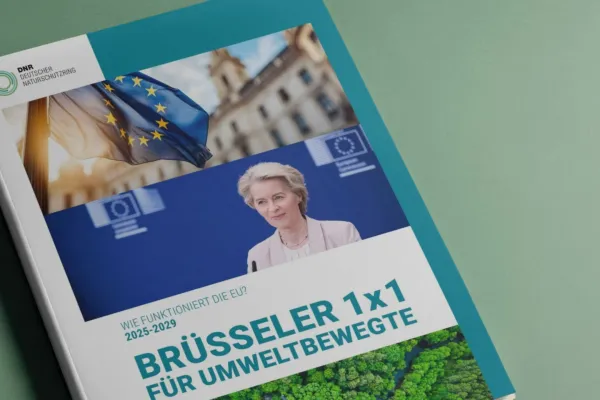 Broschüre "Brüsseler 1x1" auf einem grünen Hintergrund liegend